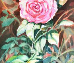 Rose in Nature by Victoria Wills